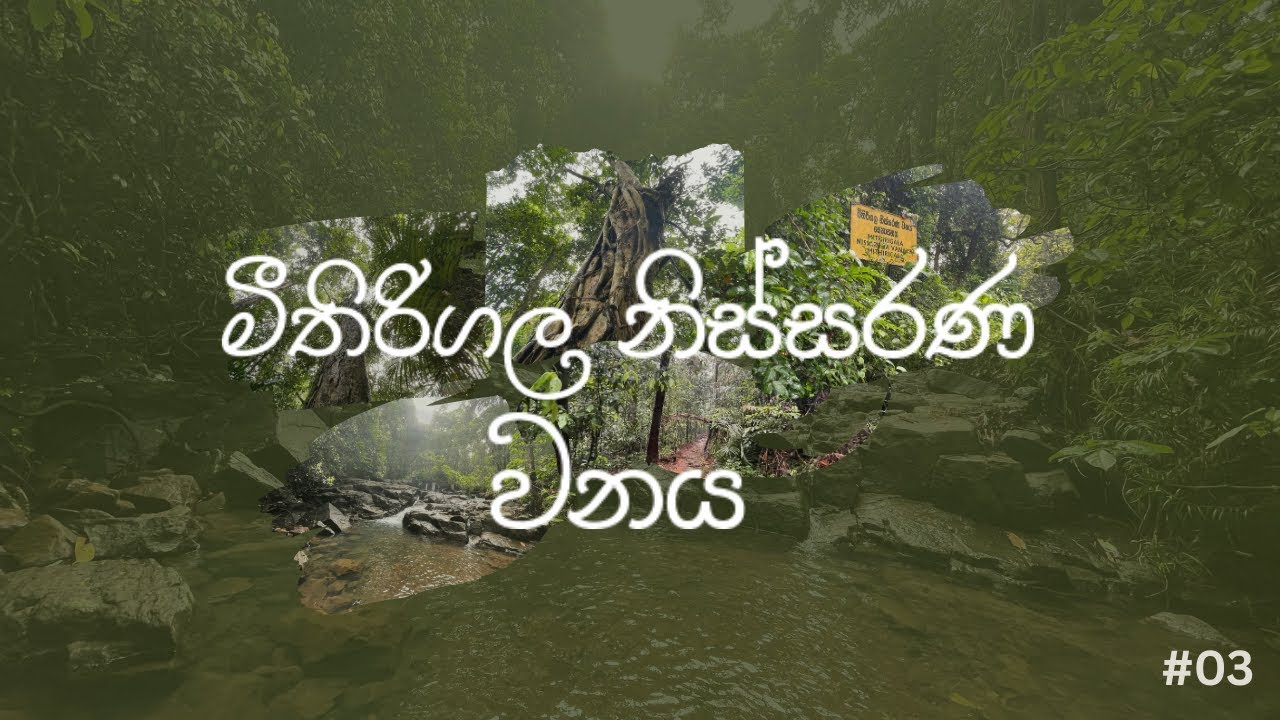 මීතිරිගල නිස්සරණ වනය | Mithirigala Nissarana Vanaya | #03 | #travel