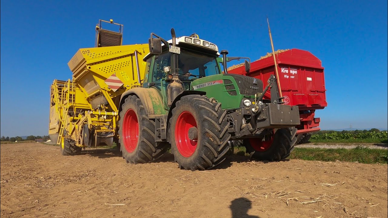Ropa Keiler 1 | Fendt 313 vario tms | Kartoffelernte 2020 | Kartoffeln roden mit Ropa und Fendt!