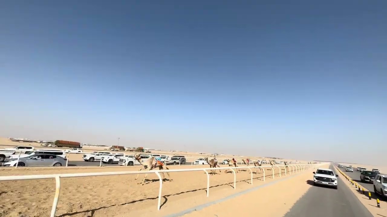 مغرد ملك عبد الله بن سعد المري