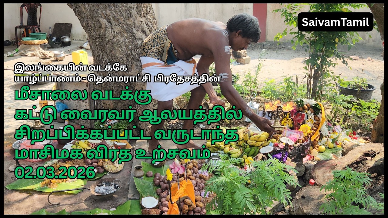மீசாலை வடக்கு கட்டுவைரவர் ஆலயத்தில் சிறப்பிக்கப்பட்ட வருடாந்த மாசிமக விரத உற்சவம் | KadduVairavar