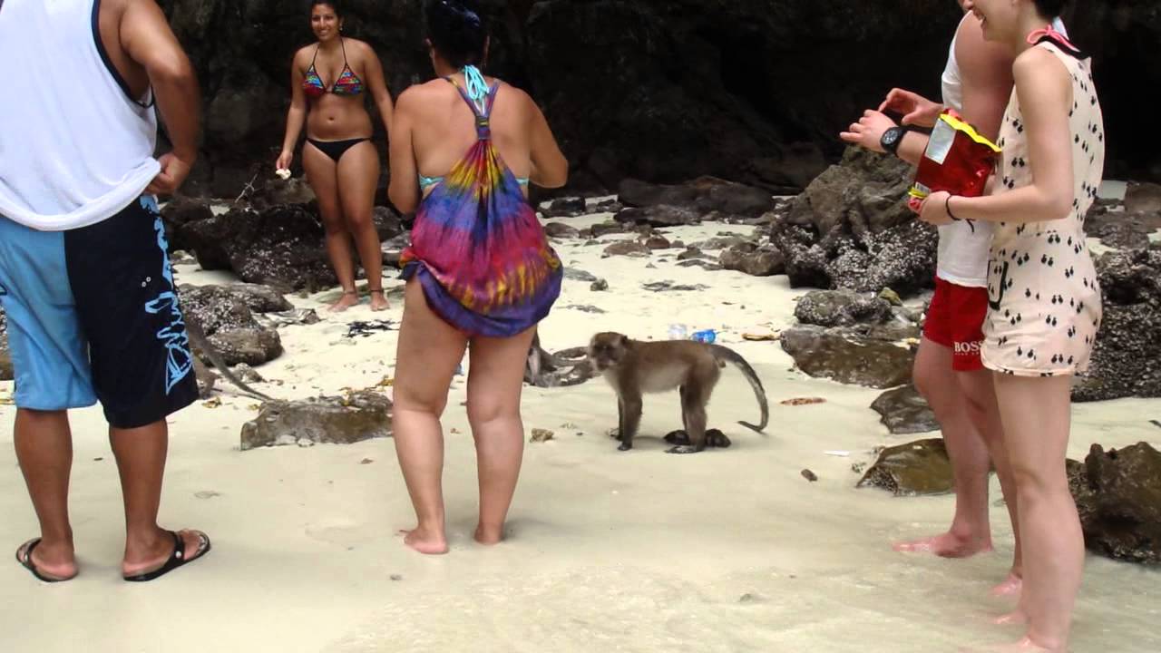 Koh Phi Phi (Thailand) - Monkey Island