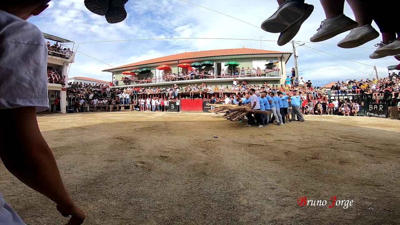 Forcalhos - 1&ordm;Touro 2019