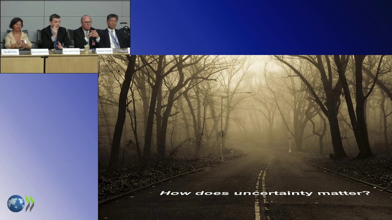 Private Investment in Infrastructure: Dealing with uncertainty in contracts