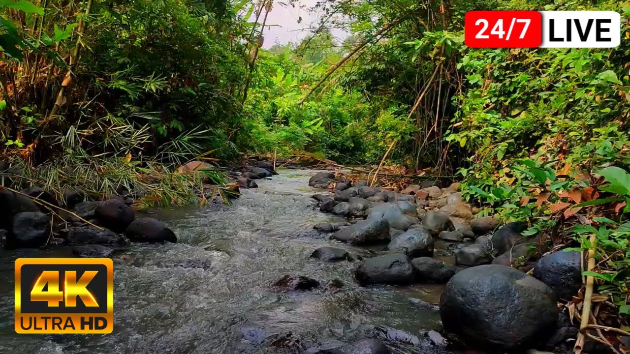 Soothing Relaxation: Relaxing Piano Music & Water Sounds for Sleep, Meditation, Spa & Yoga