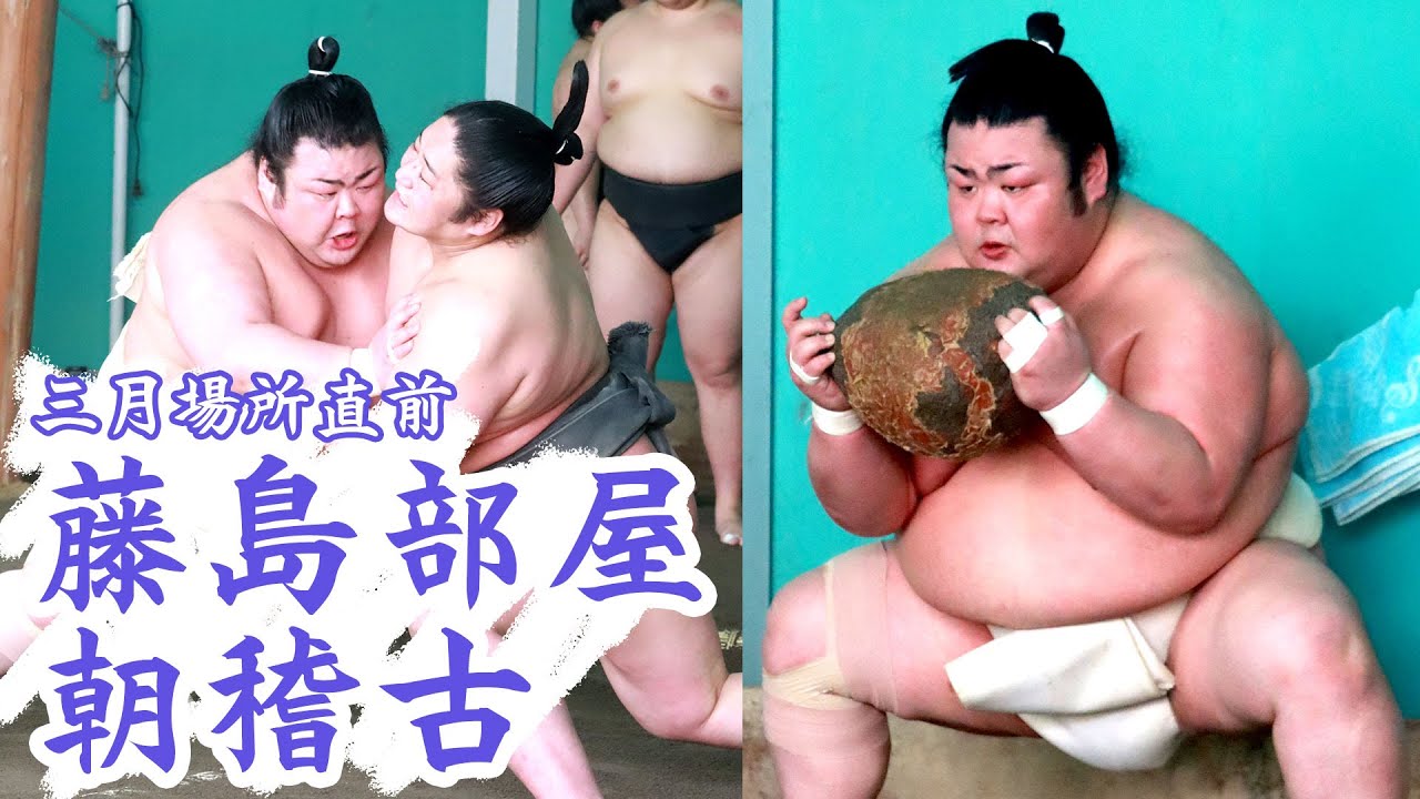 【相撲部屋の朝稽古】　藤島部屋　SUMO