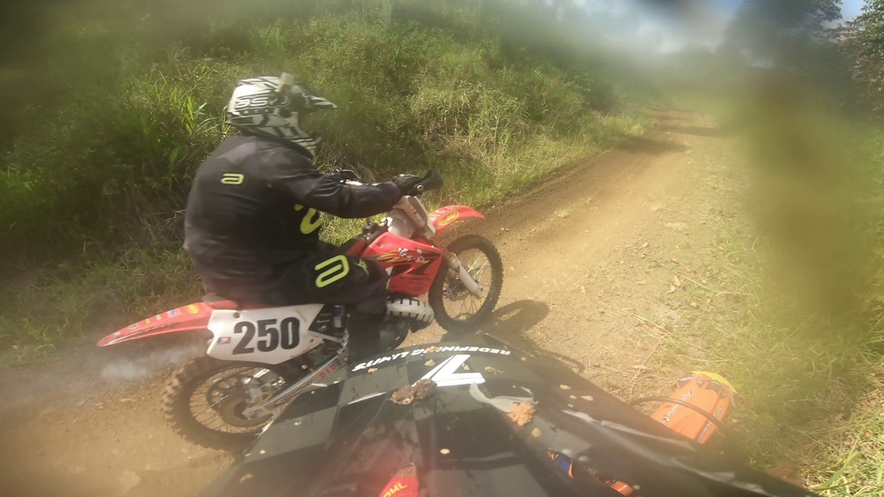 Tatu na lama vídeo 13 Massaranduba sc 02-12-2018