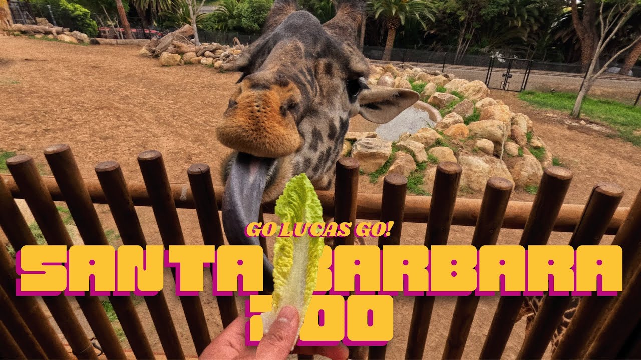 The one at the Santa Barbara Zoo