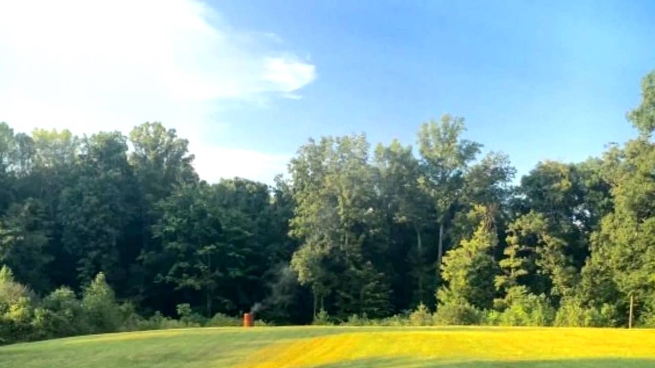 5970 Borah Hill Road SE Sugar Grove, OH 43155 - MLS #216031582