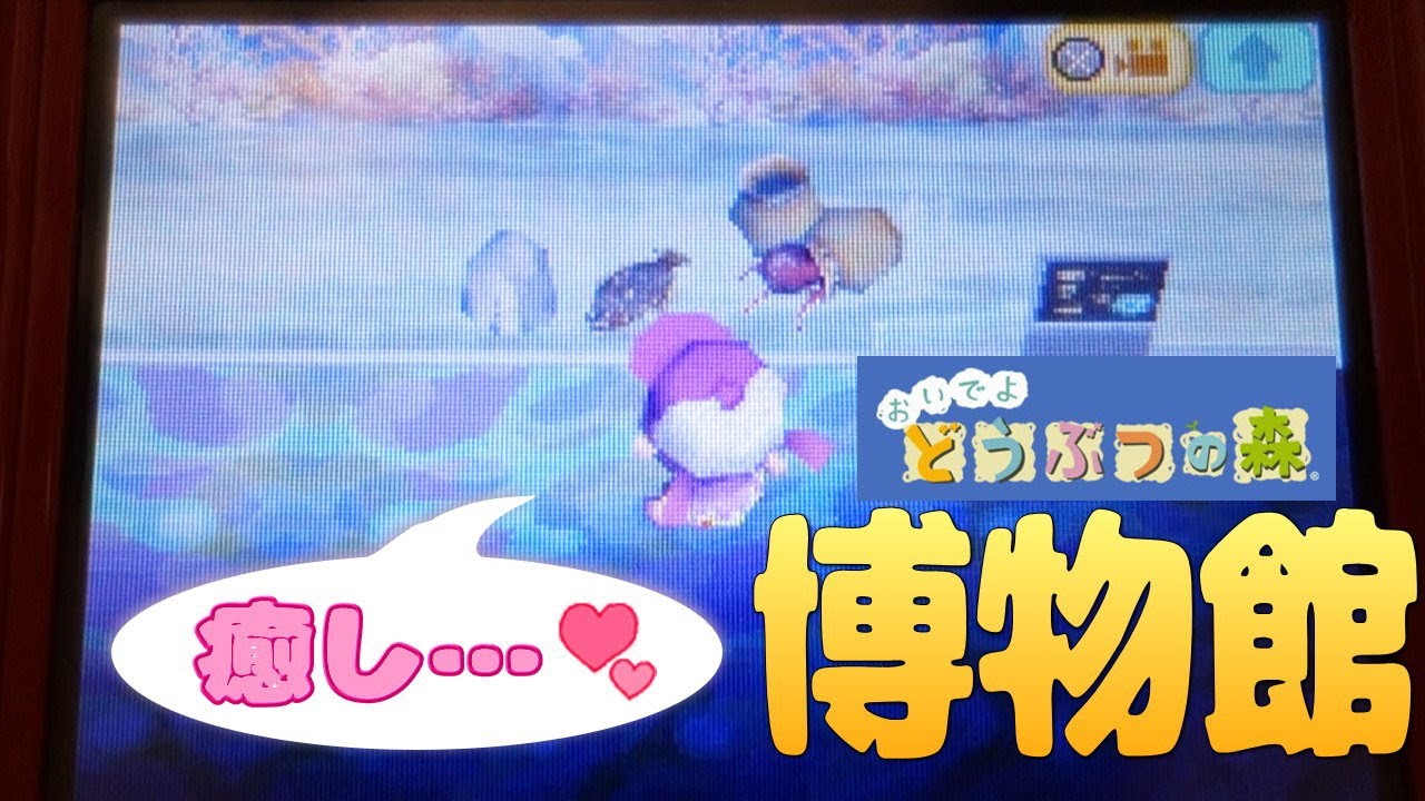 【おいでよどうぶつの森】どうぶつとのお話と博物館を紹介♪