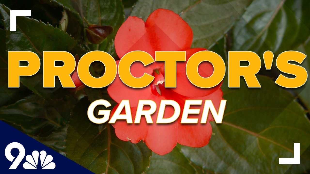 Prepare for spring by pinching your plants