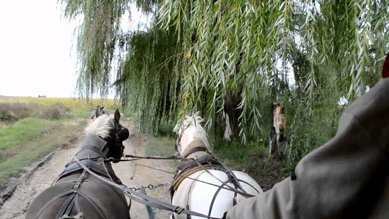 7/8.Roulotte2013.RoumanieFrontière