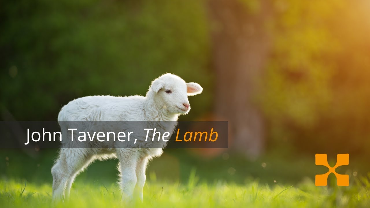 AUXILIUM: John Tavener  | The Lamb | Cracovia Sacra 2023