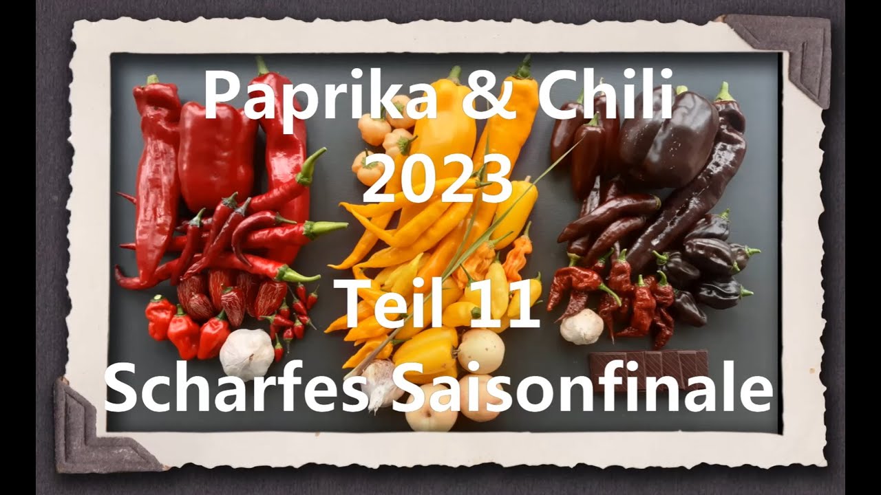 Paprika & Chili 2023 Teil 11 - Scharfes Saisonfinale