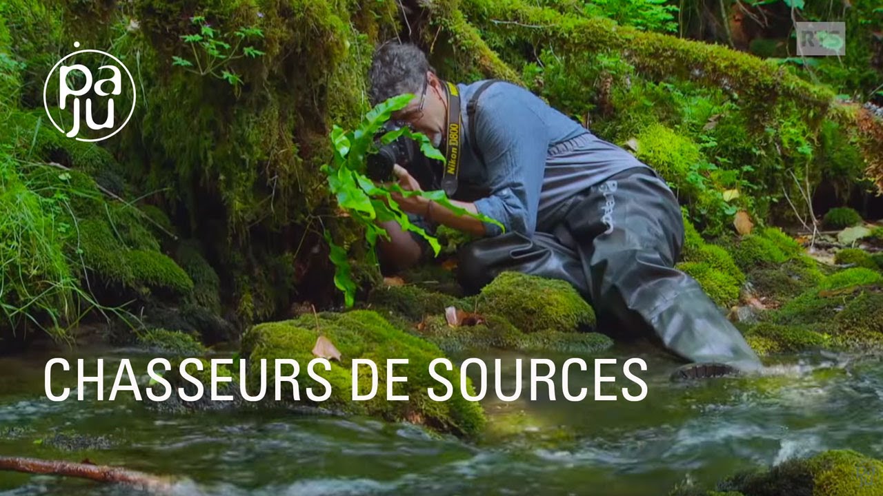 A la découverte de la faune fragile des cours d’eau