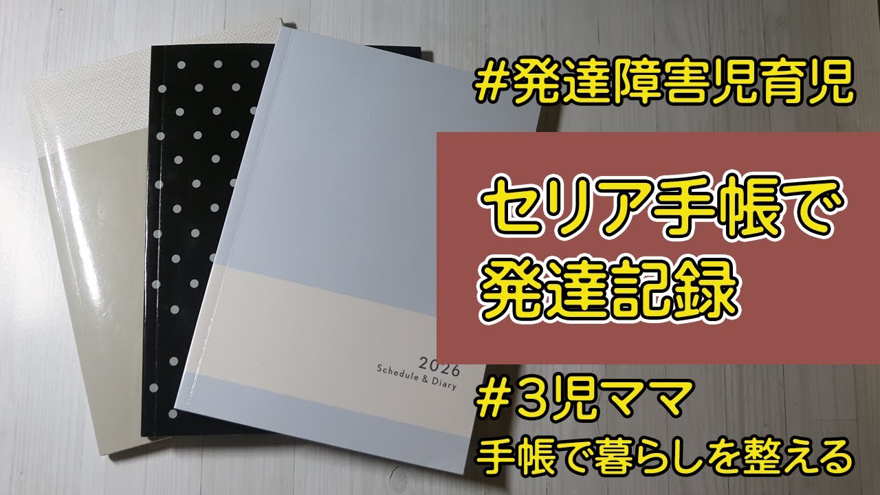 【100均手帳】セリア3冊の使い分けと、発達の波の記録方法。
