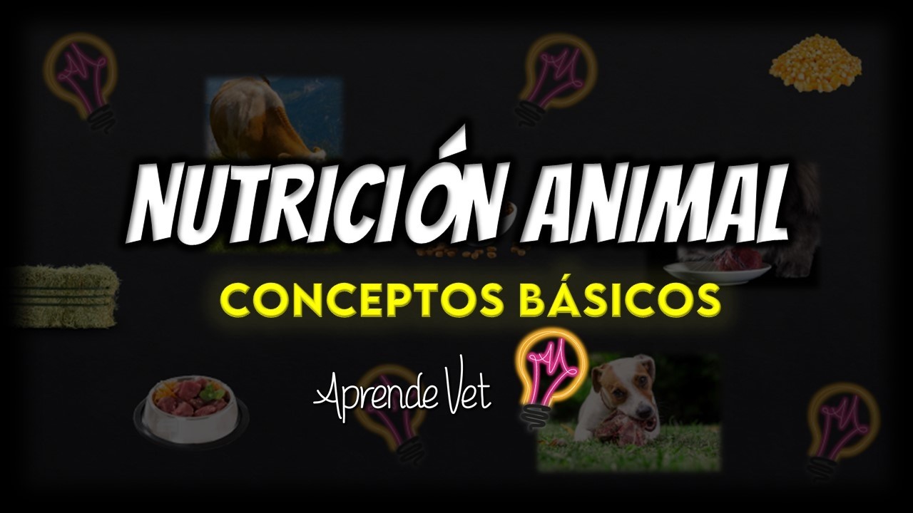 ALIMENTO, NUTRIENTES, DIETA, RACIÓN 🌾 NUTRICIÓN ANIMAL 📌  CONCEPTOS BÁSICOS
