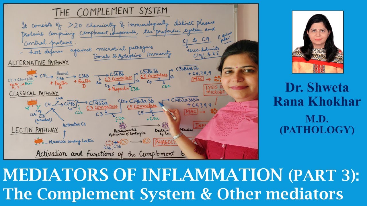 Mediators of Inflammation Part 3: The Complement System and other mediators