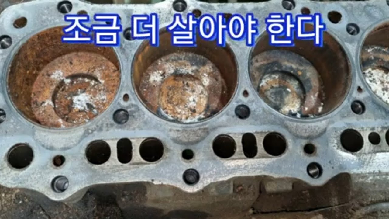 조금 더 살아서 일하자