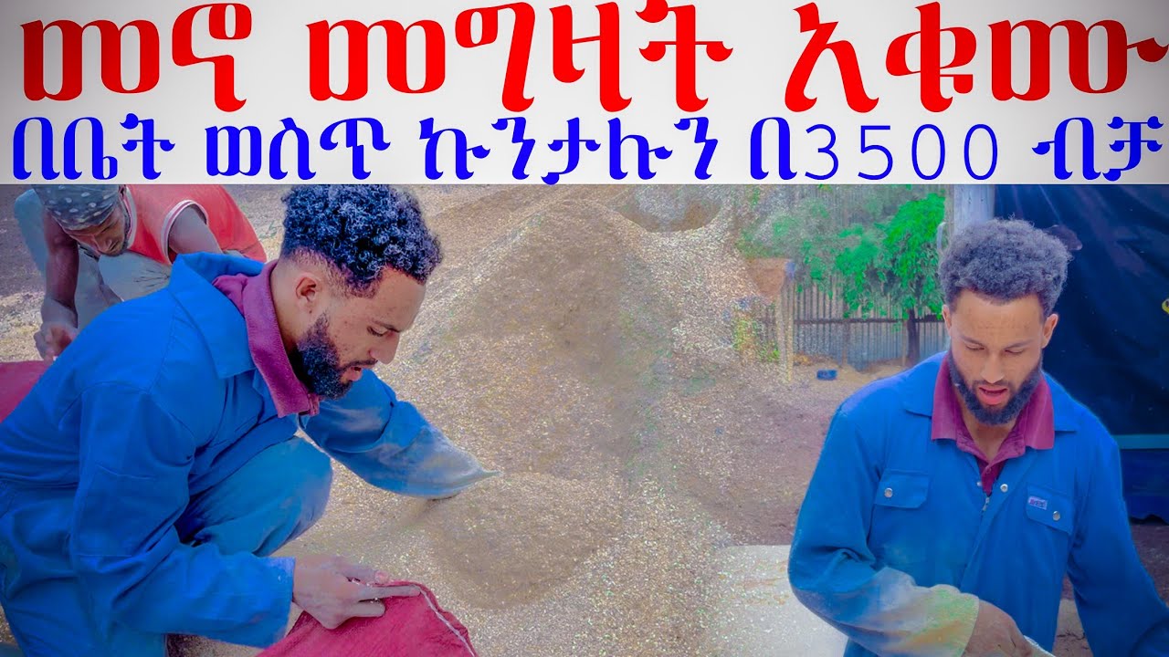 በቤት ውስጥ የሚዘጋጅ የ3500 ብር መኖ ያለ ማሽን|how to  mix high quality poultry feed at home |