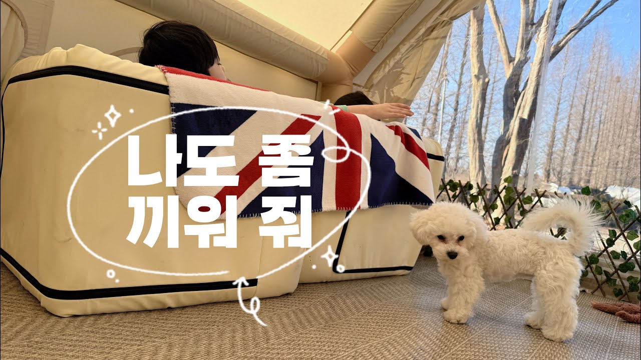 [V_log] 코코의 캠핑 브이로그ㅣ아지트 만드느라 바쁜 쿠쿠 키키ㅣ코코는 외로워😭ㅣ같이 놀아달라고!