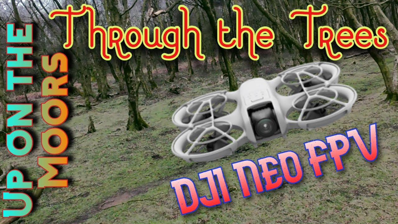 DJI Neo FPV - Up on the moors, weaving through the trees!