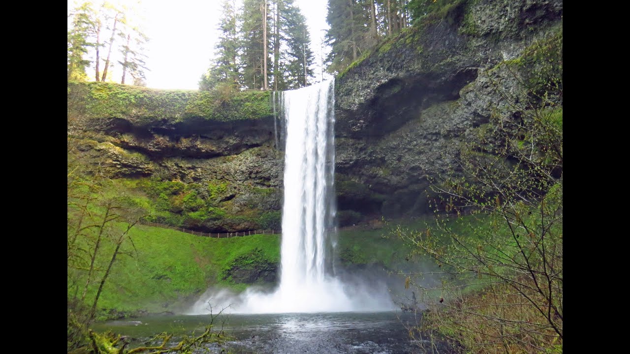 A Walk at Silver Falls, South Falls, Walk Behind the Waterfall! Oregon