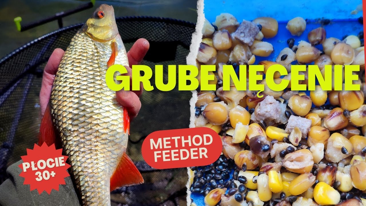 method feeder i grube nęcenie #methodfeeder