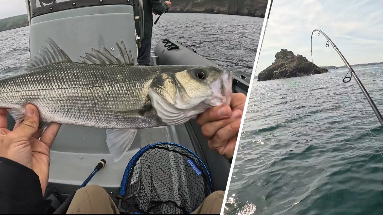 PÊCHE MULTI-ESPÈCES DANS LE FINISTÈRE