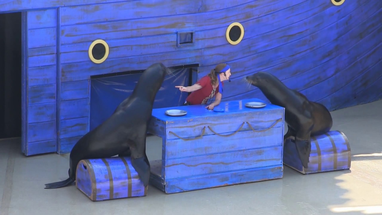 Clyde and Seamore Take Pirate Island at SeaWorld Orlando