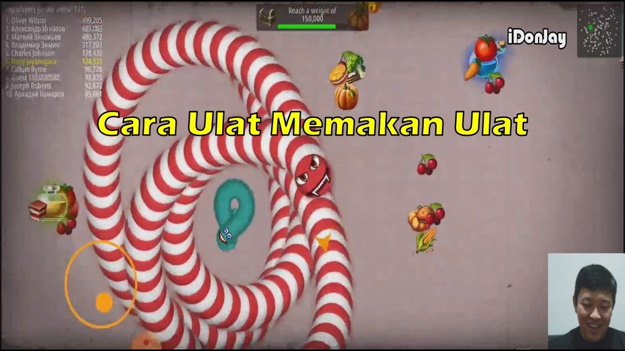 Ulat Seperti Ular Piton di Game Worms Zone
