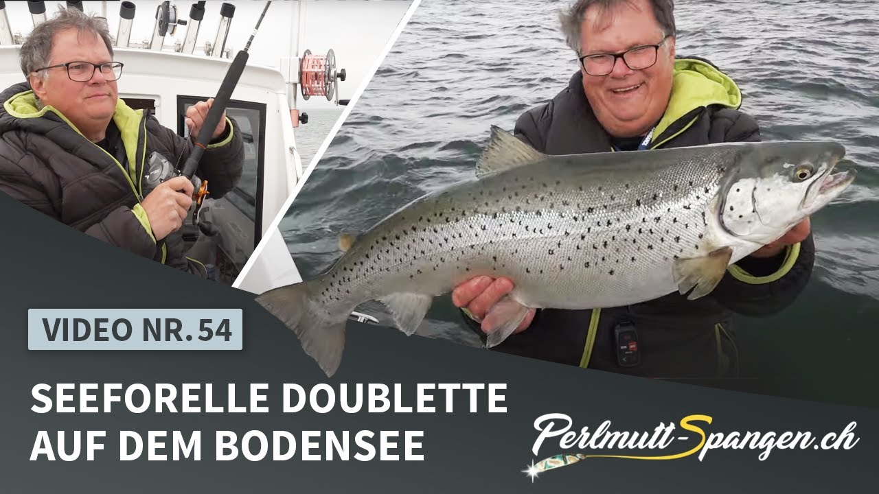 Seeforelle Doublette auf dem Bodensee
