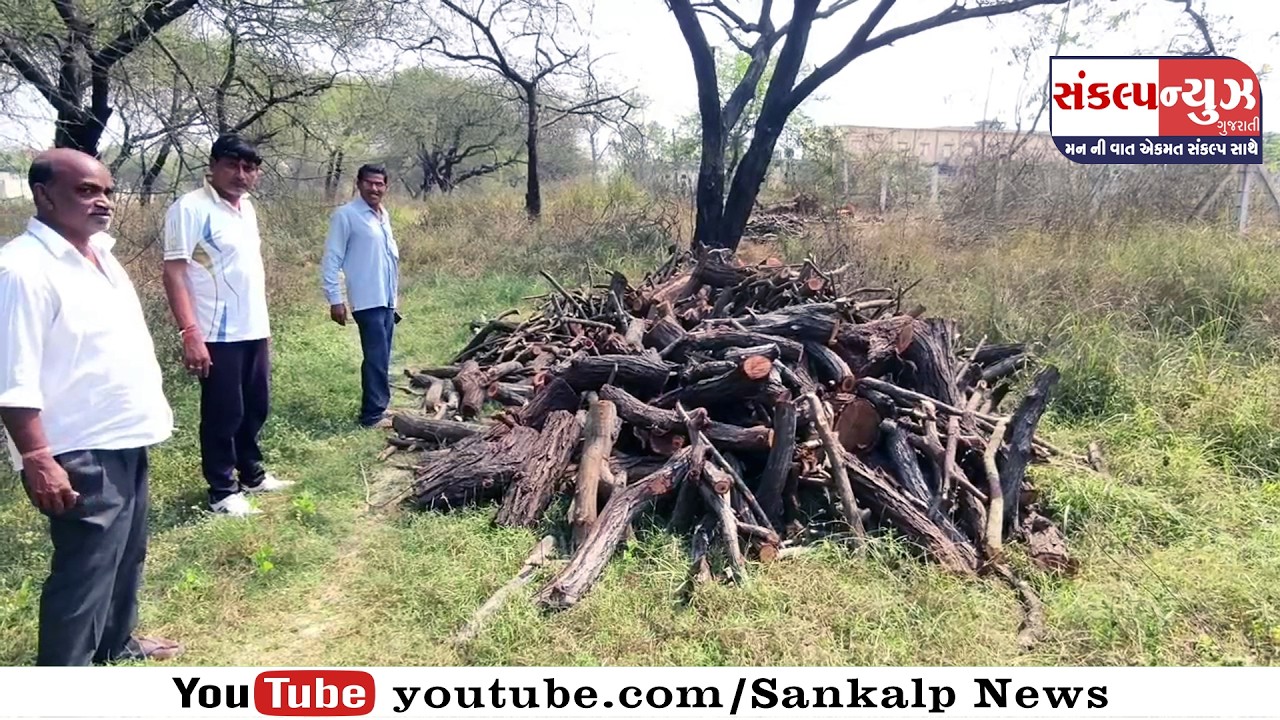 ફણસવાડા ગામે  ઝાડ કાપી લાકડા ચોરી થતું હોવાનું સામે આવતા સ્થાનિકો એ કામ અટકાવ્યા