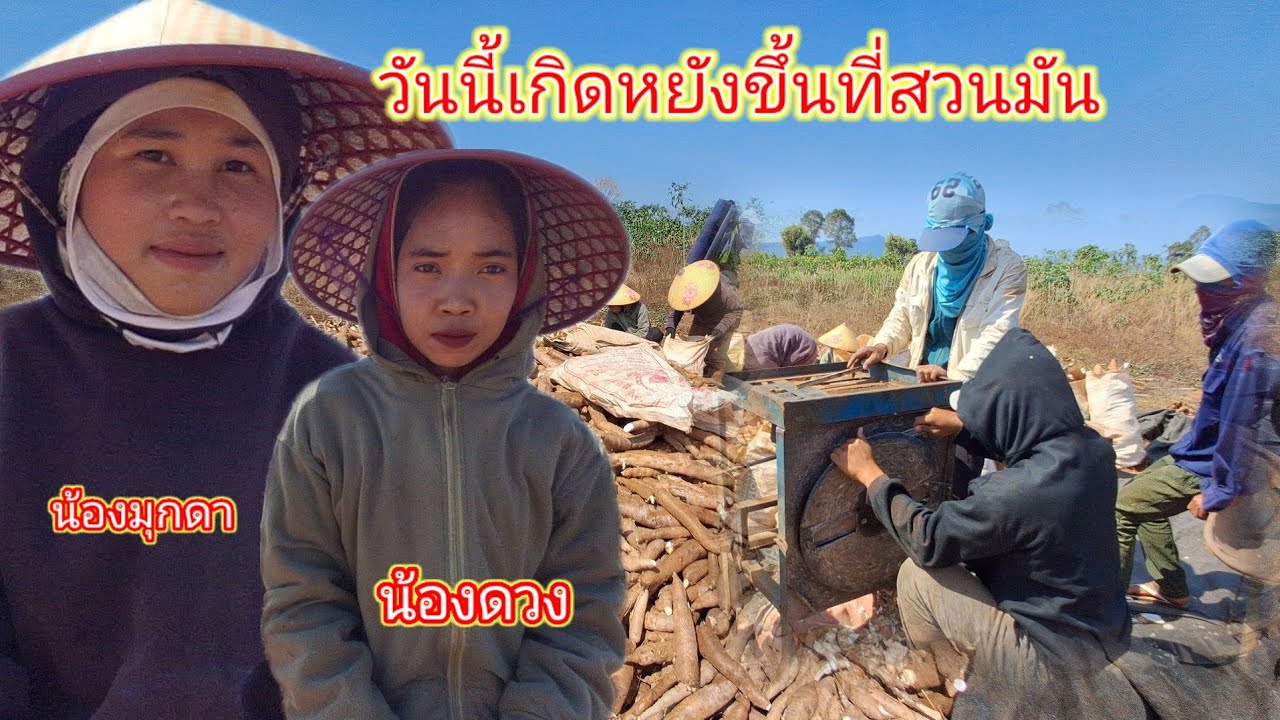 มาชมบรรยากาศที่สวนเกิดหยังขึ้นที่สวนมันวันนี้17 กุมภาพันธ์ ค.ศ. 2026