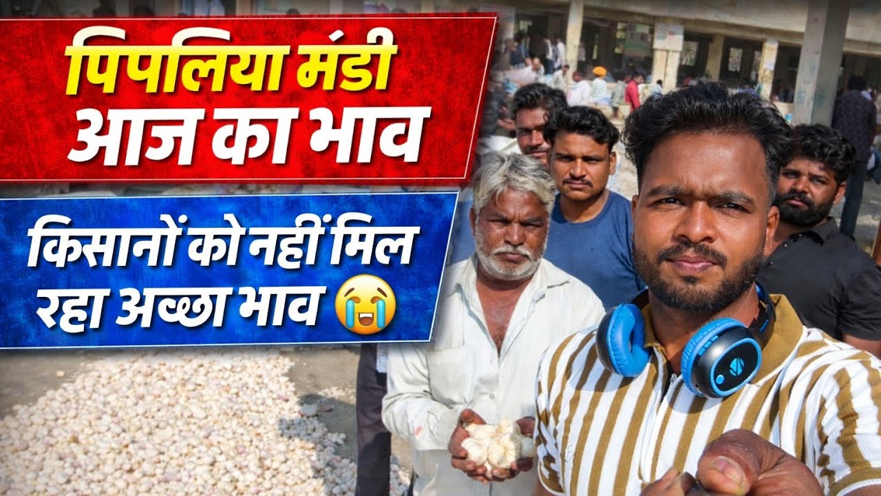 किसानों को नहीं मिल रहा अच्छा भाव🥺 Farmers are not getting a good price पिपलियामंडी आज का लहसुन भाव 
