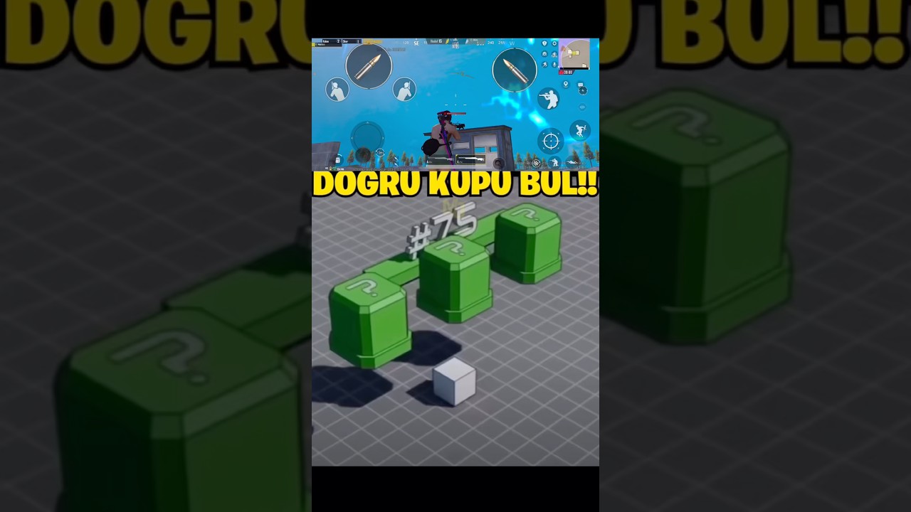 DOĞRU KÜPÜ BUL BAKALIM…🤯