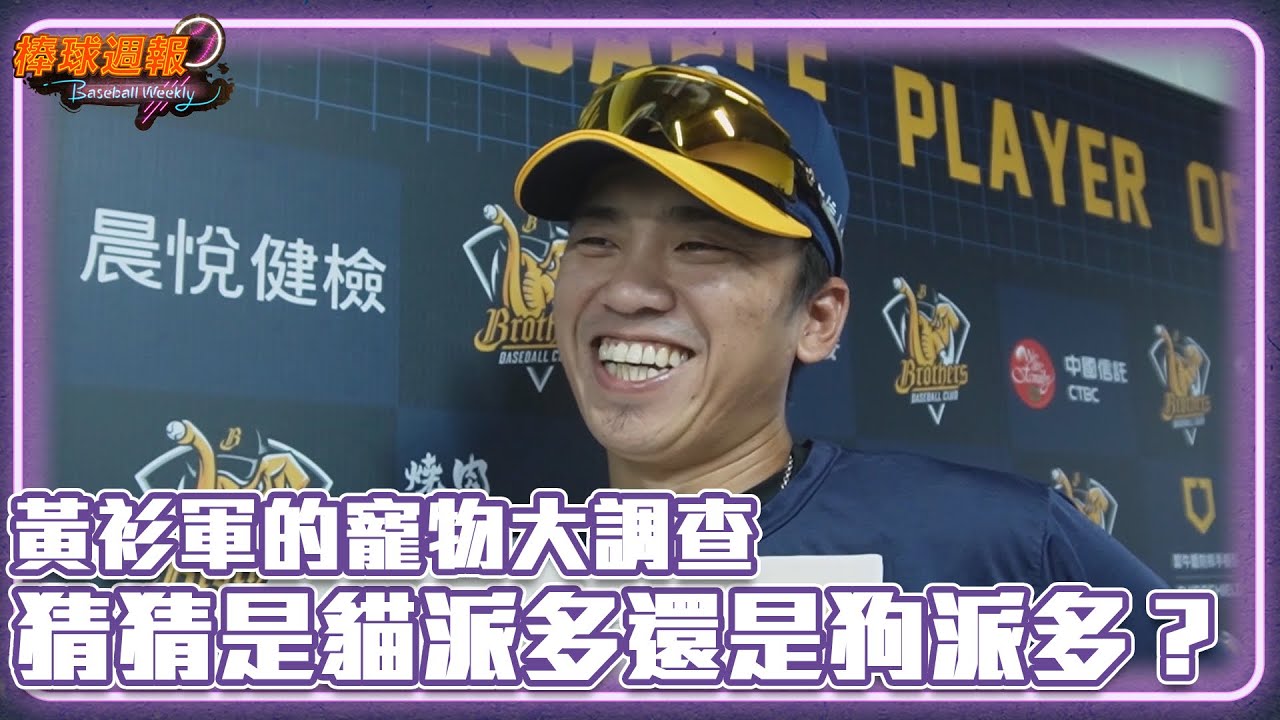 黃衫軍的寵物大調查 猜猜是貓派多還是狗派多？｜20230910【凱基證券棒球週報】