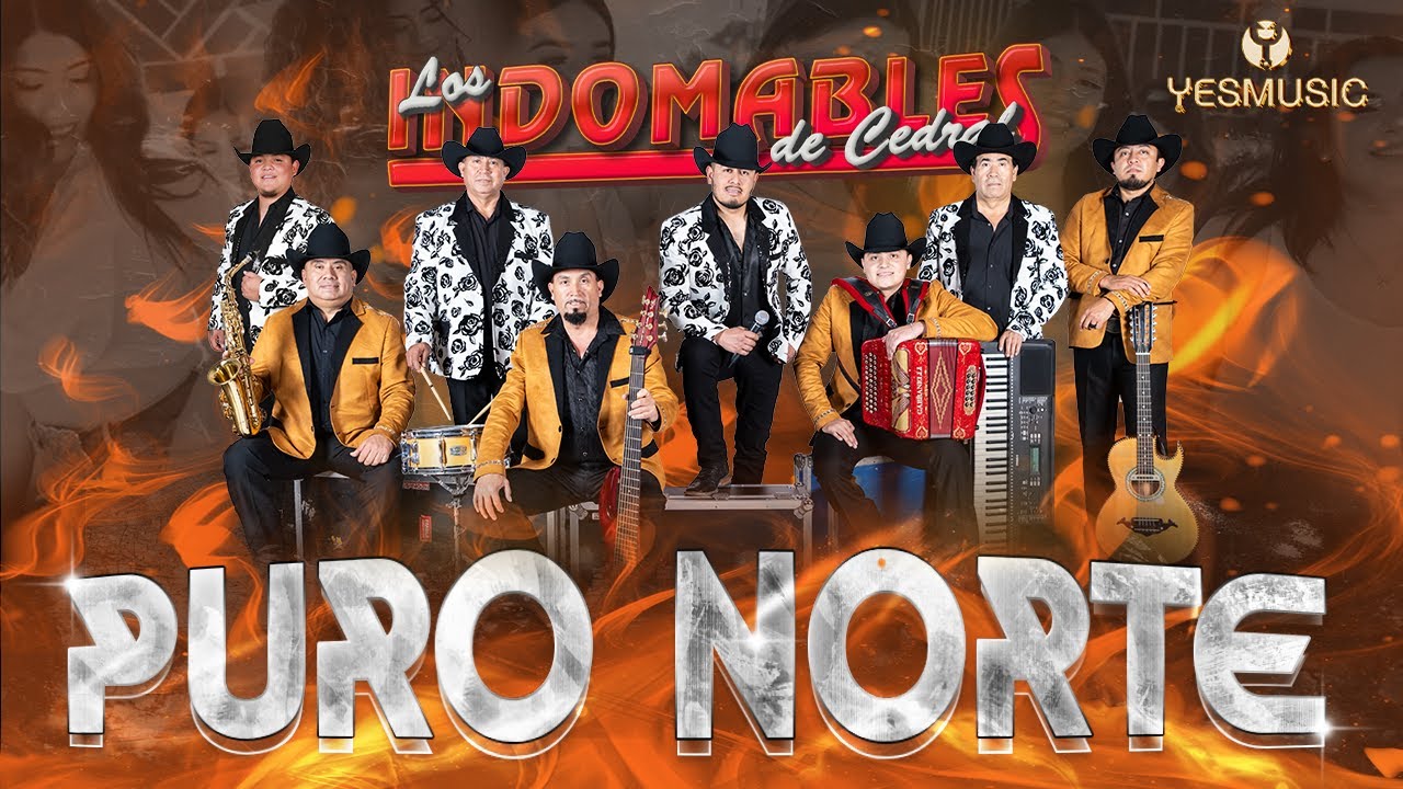 Los Indomables De Cedral | Puro Norte | Video Musical