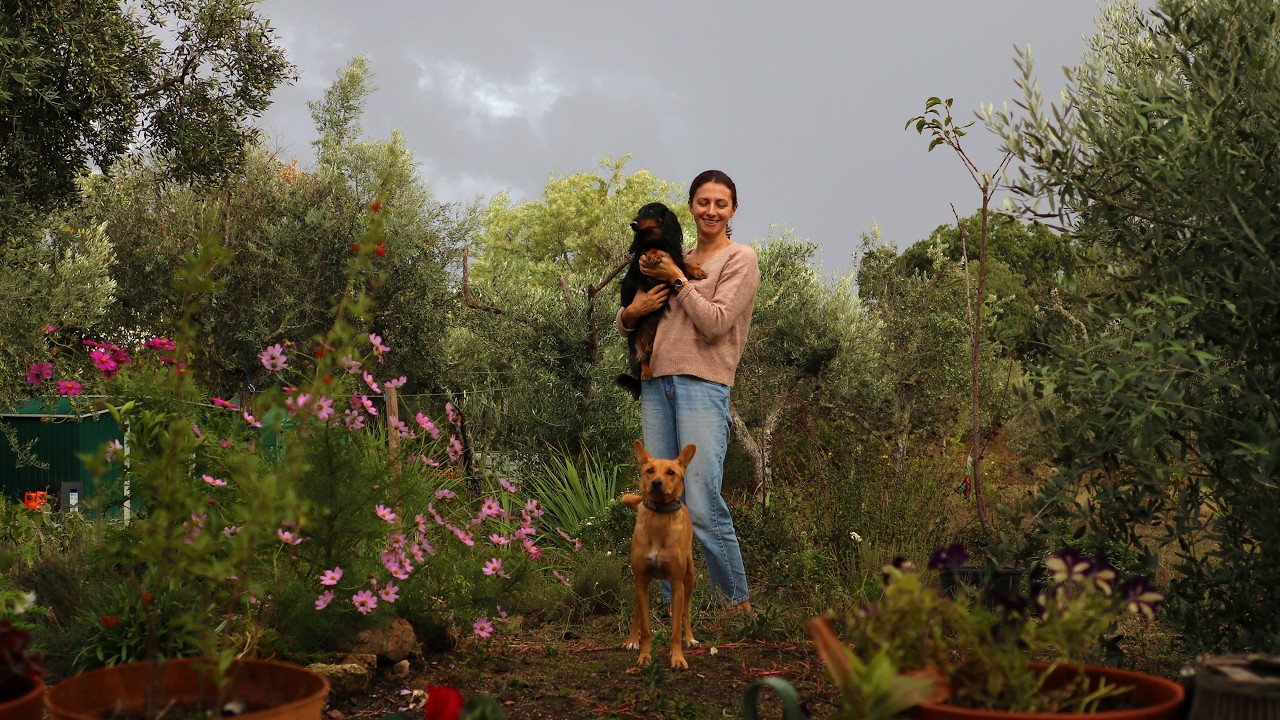 Stormy Season on our Off Grid Acre Homestead