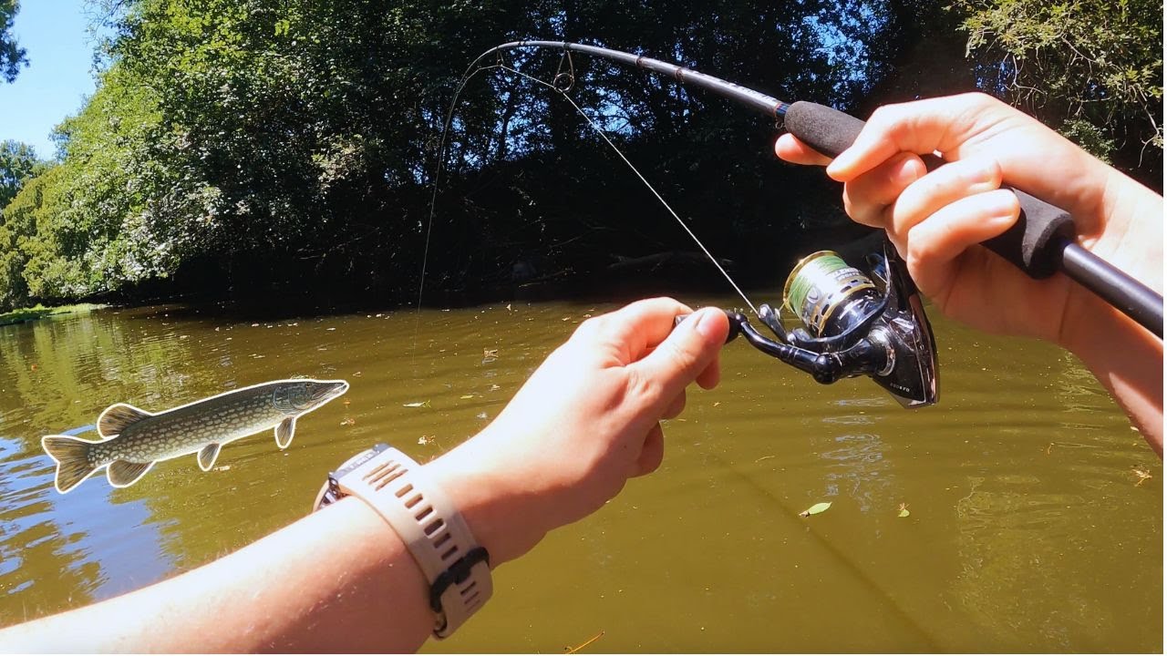BROCHETS EN FLOAT-TUBE EN PETITE RIVIÈRE !