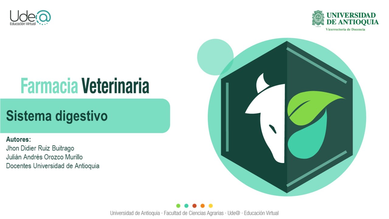 Sistema digestivo - Parte 3