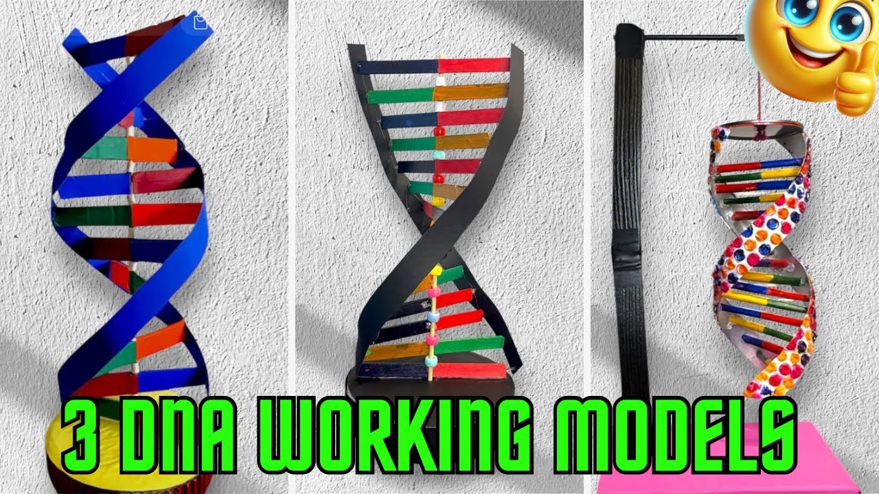 3 проекта рабочих моделей ДНК / 3D-проекты по изучению ДНК / #3Ddnaworkingmodel