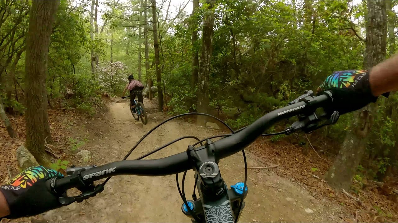 Follow Cam with Shanna Powell