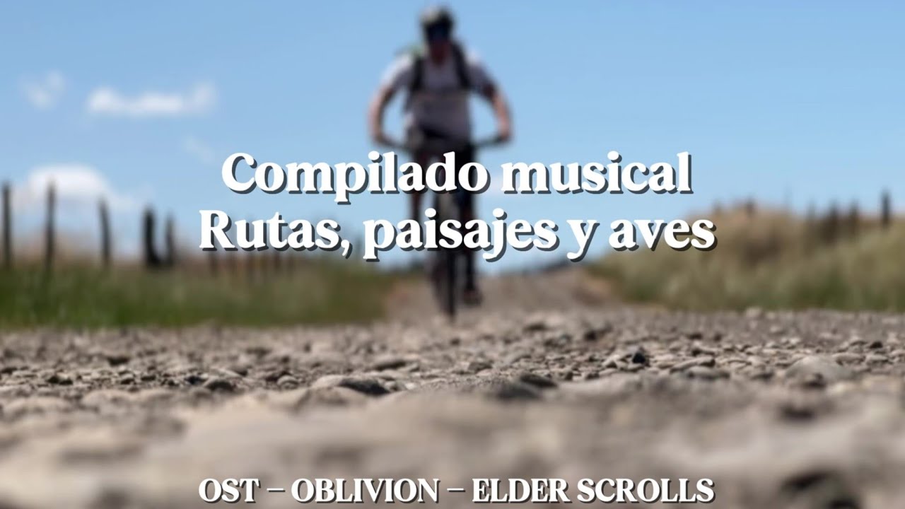 Paisajes y Musica compilado Bikepacking LA ARAUCANÍA y SUR DE CHILE | OST OBLIVION