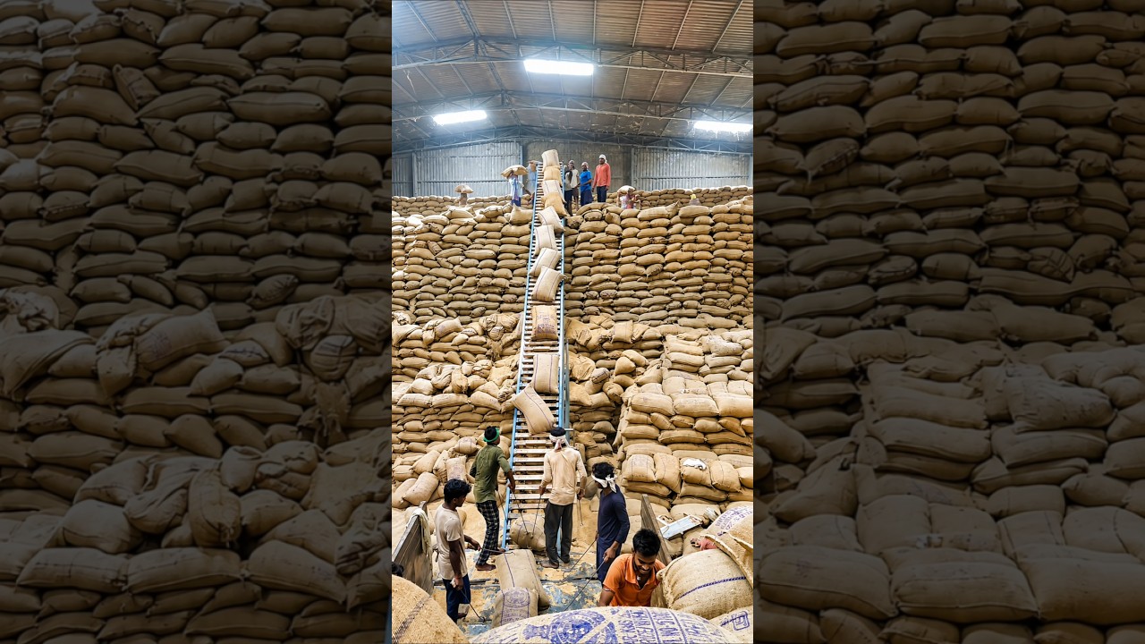 India Produces So Much Sugar, Then Why Is It So Expensive (Sugar Price Crisis Explained)