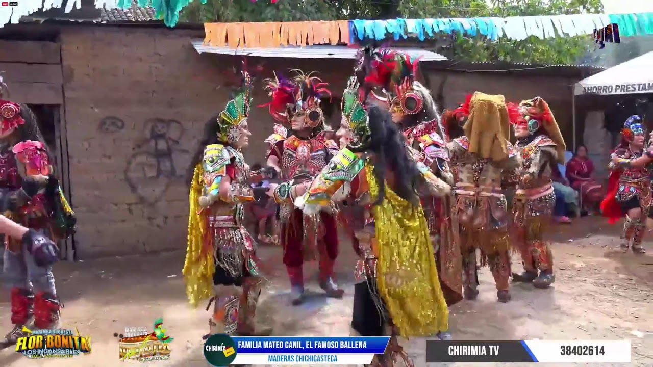 CHALO Y SU INDIANA Y FLOR BONITA DESDE XEABAJ SEGUNDO, CHICHICASTENANGO, FAMILIA MATEO CANIL