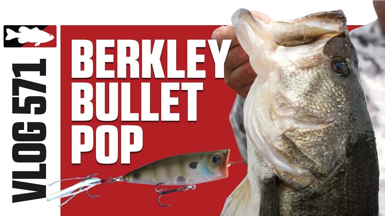 Catching Giant Florida Bass on the Berkley Bullet Popper with John Cox - VLOG#571