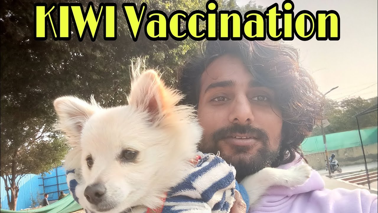 Cousin Ke Dog KIWI Ka Vaccination Day | Vlog #petvlog #viral #trending #vlog #Doglover #dailyvlog