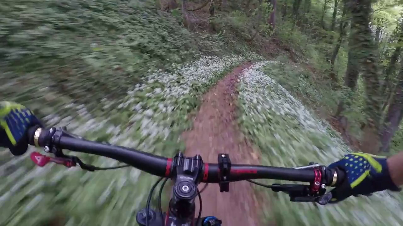 Singletrail Sonnenberg | Thurgau | RAW