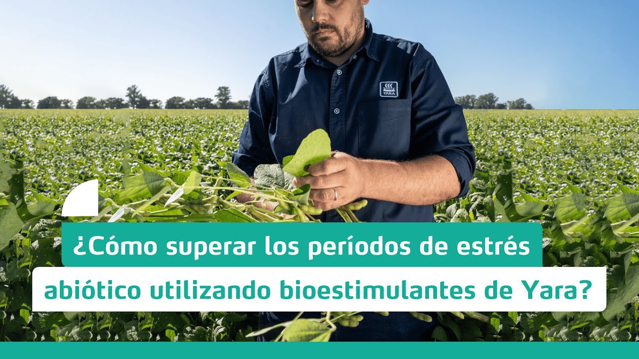 AR | Bioestimulá tu cultivo con YaraAmplix BIOTRAC 🌿