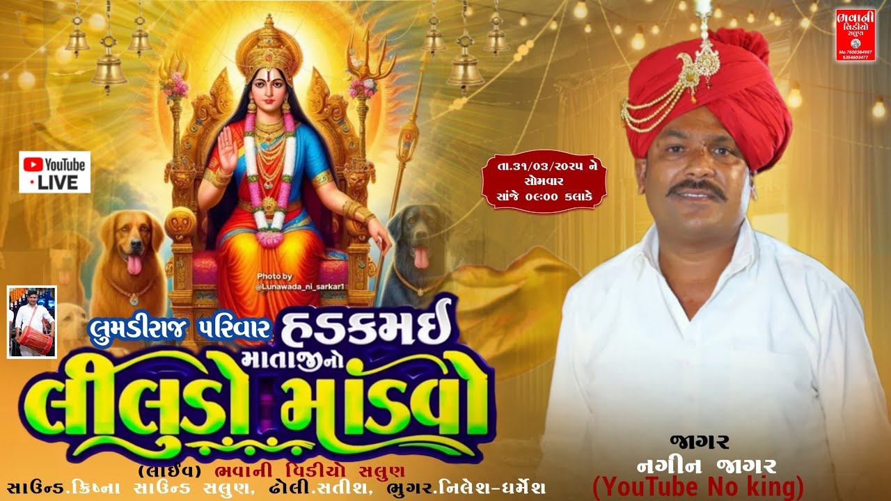 🔴લુમડીરાજ પરિવાર ના આંગણે || હડકમઈ માતાજીનો લીલુડો માંડવો || Nagin Jagar || Live Bhavani Video Salun